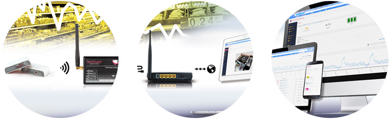 SensGuard TCP LR X2 Gateway sammelt drahtlose Sensordaten und leitet sie an das Monitoring-Portal weiter