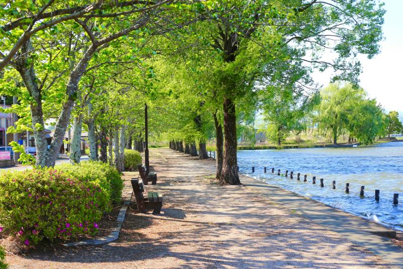 Besucherzählung ohne Strom und Internet. Praktische Lösungen von SensMax.